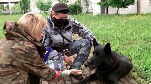 В России отмечают День кинолога: история праздника