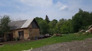 03.06.2025 09:19 вторник. В Крюковское Лесничество со стороны дороги 70К-122 и назад через Кураково.