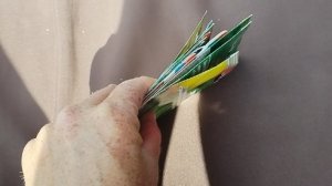 что решила  посеять в середине июня? / сибирский огород