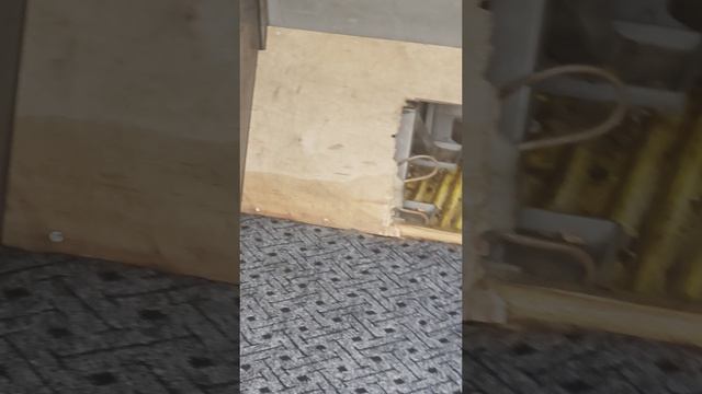 1000242079.mp4