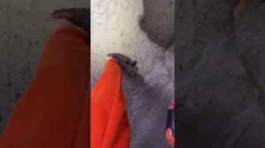 Приемка квартиры с черновым ремонтом