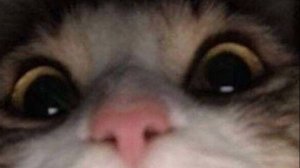 Топ 6 офлайн игр на телефон