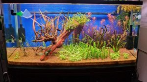 Микро ,В аквариуме!?