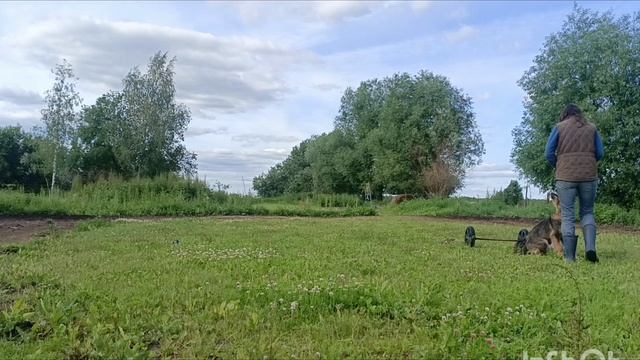Дик Найт Эль тайм Лунная волчица. 5 месяцев