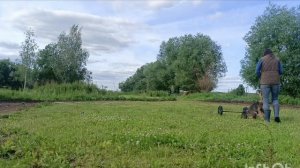 Дик Найт Эль тайм Лунная волчица. 5 месяцев