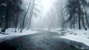 Горечь потери