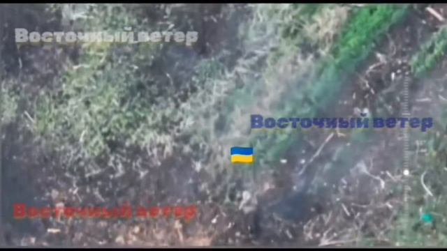 🔴⚠️Пресечение несанкционированного выхода из загона ⚠️🌳🐖🌳🐖🌳🔴