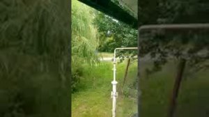 Снова травят по ночам
