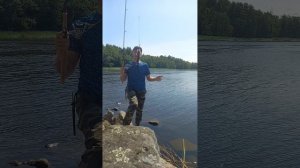 Рабочая блесна на окуня