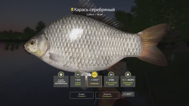 Русская Рыбалка 4 Трофей (Карась серебряный) оз. Янтарное