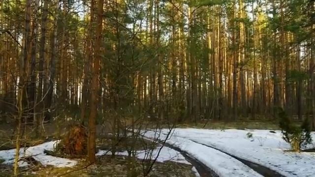 ВЕСНА.