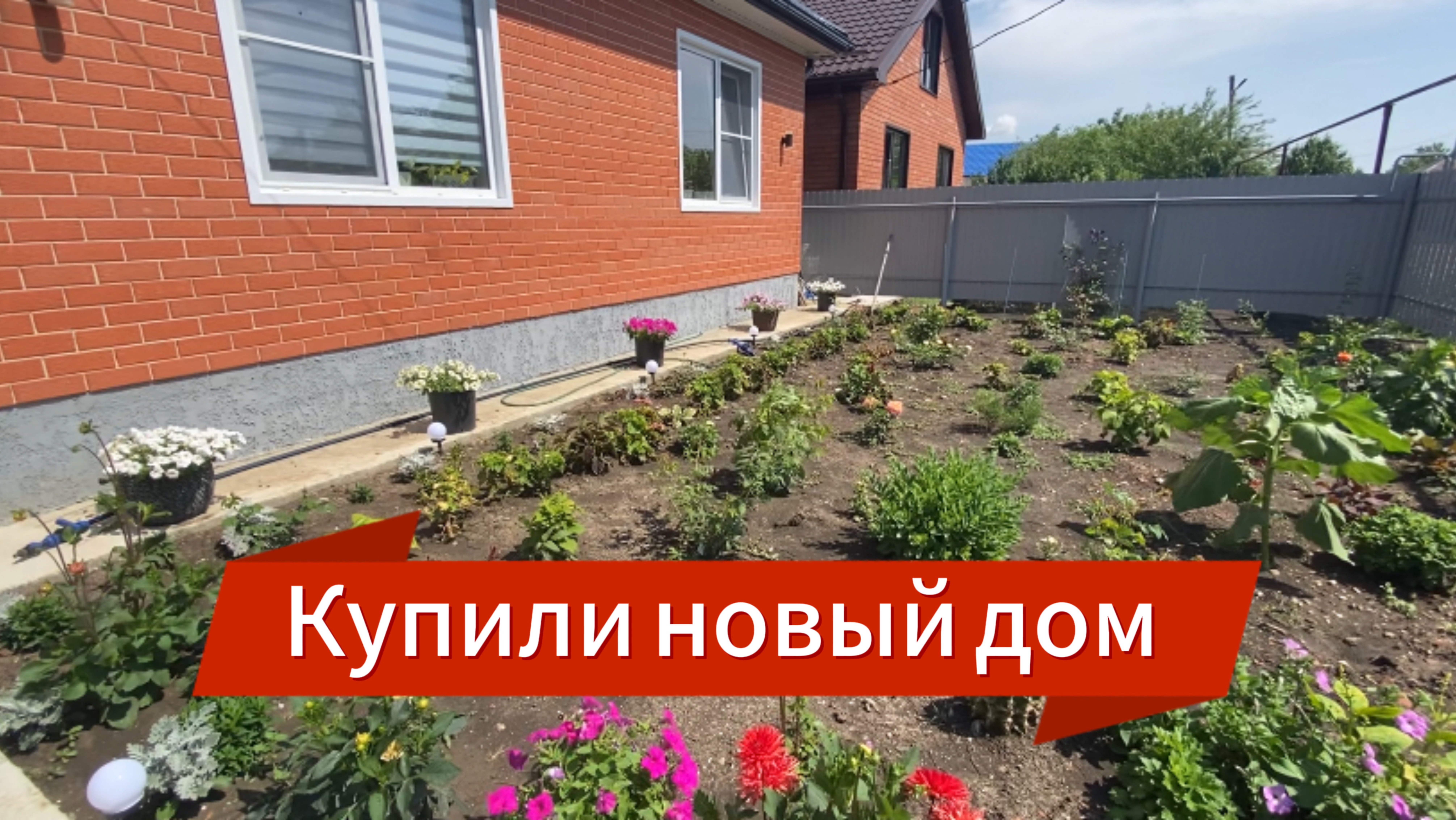 599ч🏡19.06.25-Освободили кухню//Заказали варочную панель и дух.шкаф//Аллергия