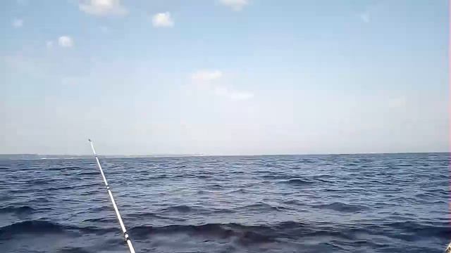 Рыбалка на Финском заливе. Отчёт за 10.07.2021. ЮБРЛС.