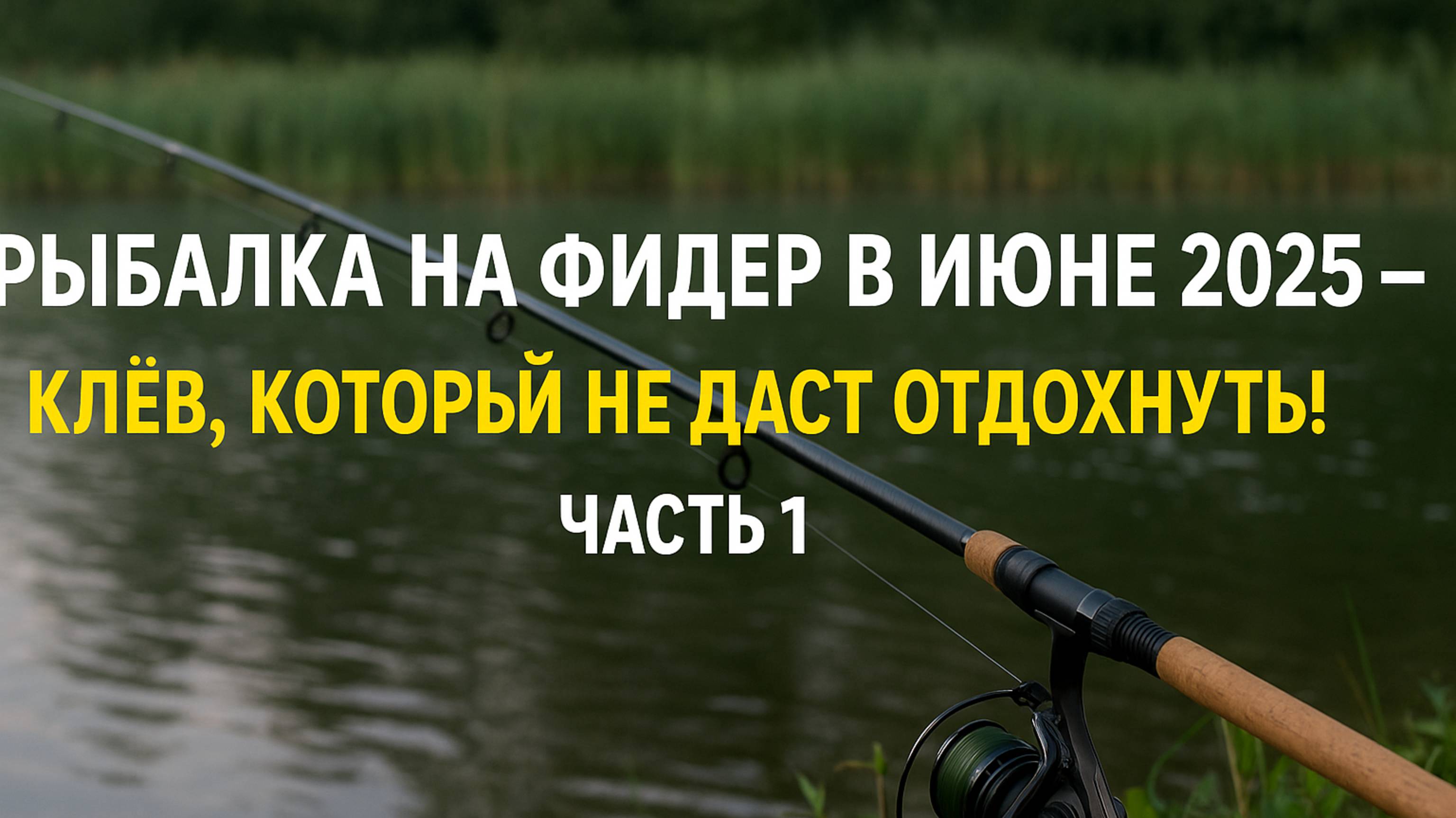 РЫБАЛКА НА ФИДЕР В ИЮНЕ 2025 — КЛЁВ, КОТОРЫЙ НЕ ДАСТ ОТДОХНУТЬ!