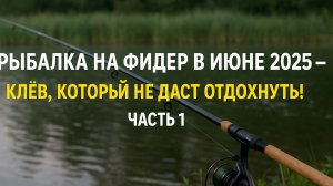 РЫБАЛКА НА ФИДЕР В ИЮНЕ 2025 — КЛЁВ, КОТОРЫЙ НЕ ДАСТ ОТДОХНУТЬ!