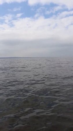 Рыбалка на Финском заливе. Отчёт за 11.09.2021.