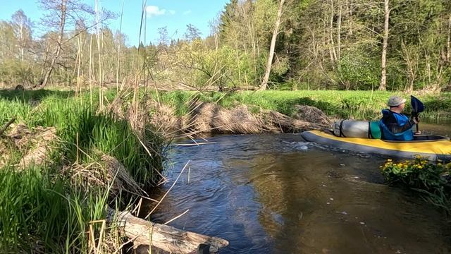 Сплав река Шаня. Действо конечное...
