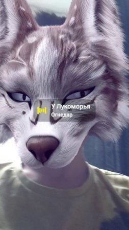 лиса