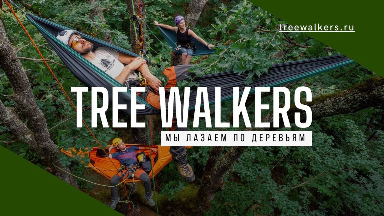 Treewalkers  - рекреативное древолазание в России