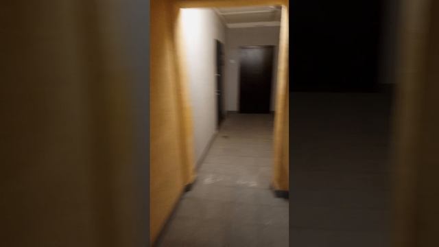 2_5379822734425485564