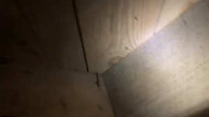 Подпол американского дома = crawling space