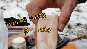 ЛЕСНАЯ КУХНЯ -УШЁЛ В ЛЕС НА ЖАРИЛ КАРТОШКИ, ПРИГОТОВИЛ ЛЕСНОЙ ЧАЙ.