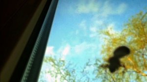 По другую сторону окна