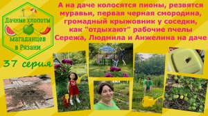 А на даче колосятся пионы,резвятся муравьи,черная смородина,крыжовник у соседки, как мы  "отдыхаем"