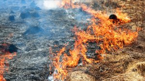 В Забайкалье сотрудники МЧС пытаются спасти от огня поселок Атамановка