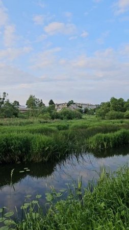 Красивые места Ярославской области