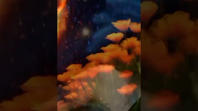 Релакс. Enigma – Age Of Loneliness. Энигма - Возраст Одиночества.