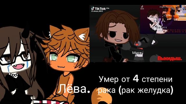 Гача лайф чек описание