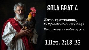 Жизнь христианина, во враждебном Богу мире Часть 3 (1Пет.2:18-25) | ЦЕРКОВЬ SOLA GRATIA