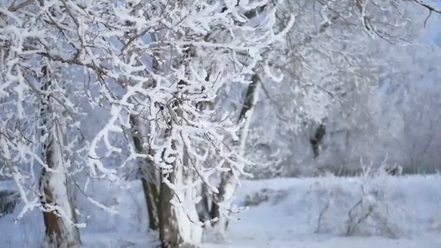 Шелковые звуки природы, гармония ветра и воды — Часть 4