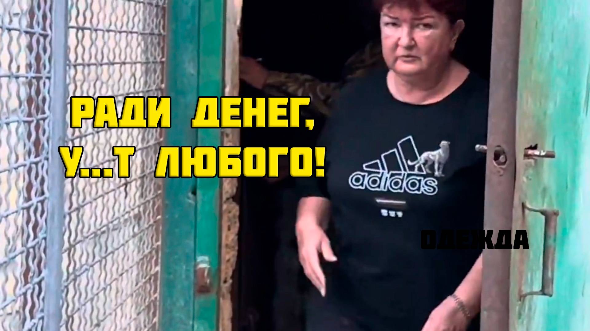 Гамадрил Люся, картавая семейка д..в и контент для таких же дол...в, 21 июня
