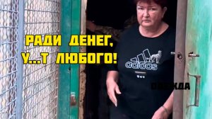 Гамадрил Люся, картавая семейка д..в и контент для таких же дол...в, 21 июня