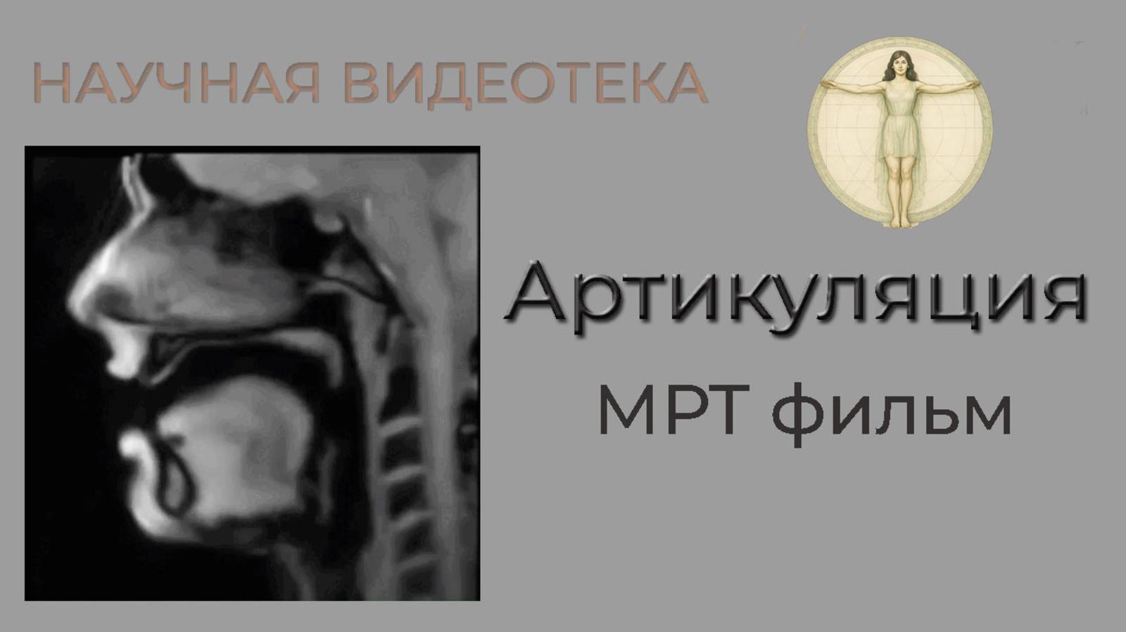 Артикуляция  МРТ  фильм