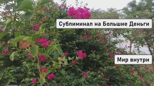 Сублиминал на Большие Деньги 💰✨ | Код Изобилия – Притяни Богатство