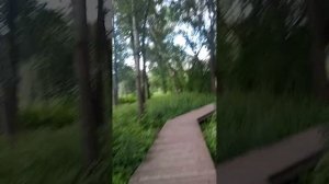 парк Каменка Новосибирск