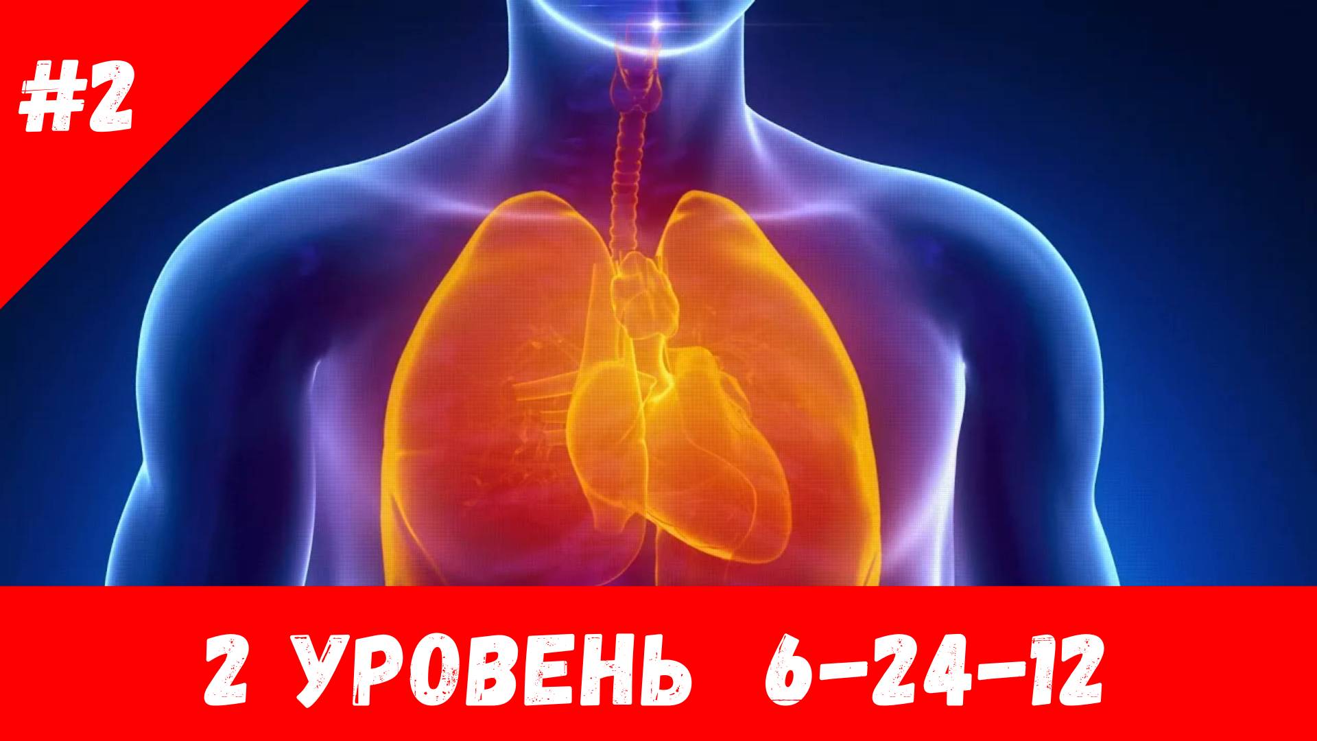 ДЫХАТЕЛЬНАЯ ГИМНАСТИКА | 2 УРОВЕНЬ 6-24-12 | АНУЛОМА-ВИЛОМА | КАК СТАТЬ БОГОМ