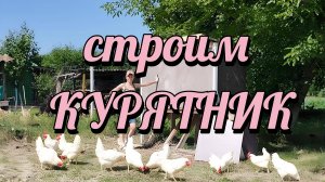 Показываем, как самостоятельно построить летний курятник // июнь 2025