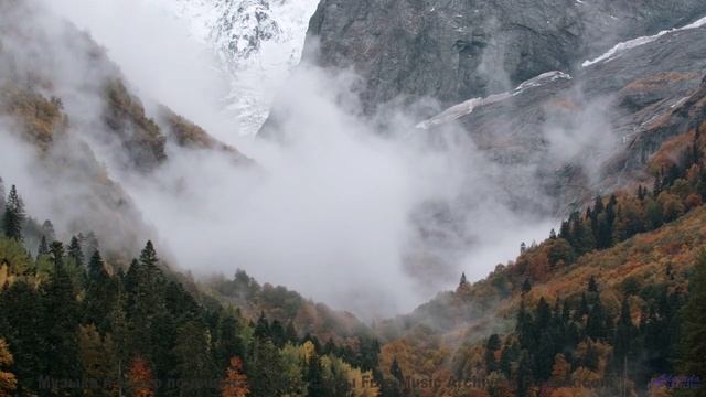 Что на самом деле происходит в этом лесу Это невероятно! - Your Nature -- HoliznaCC0 -- Mouth Music