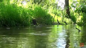 Ефрем Сирин О терпении и сокрушении слово поучительное часть 5