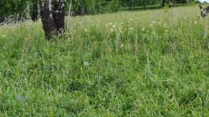 Все как в фильмах ужасов, 🫣🫣🫣