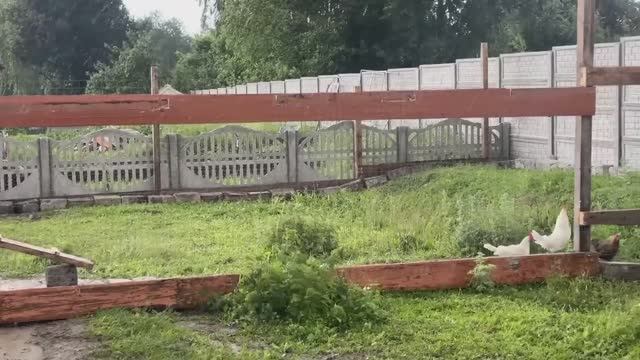 Получили подарок от подписчика. У нас обновки. Как сэкономить на отоплении зимой. Жизнь в деревне.
