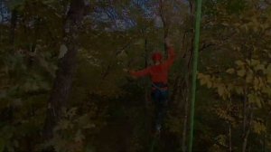 TREEWALKING + HIGHLINING = TREE-LINE