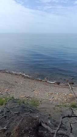 21.06.2025 Сосновый