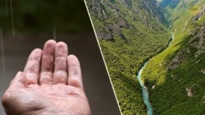 Вы бы не выжили и часа в Триасовом периоде — и вот почему