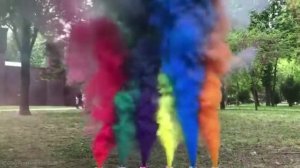 ролик Гендер Пати