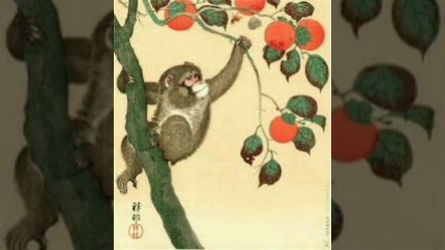 Обезьянка с обрезанным хвостом. Японская сказка. Народов Азии.